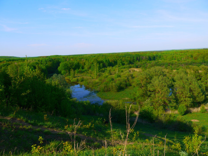 Выездной курс "Сила и душа природы" в Тамбовской области 12 - 15 июня 2014 года